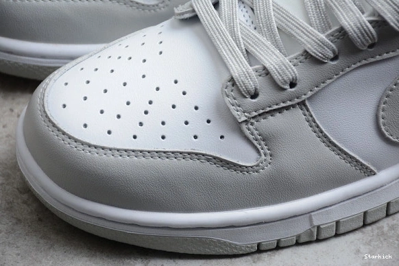 DD1391-103 Dunk Fog Nike Grey Low 0809